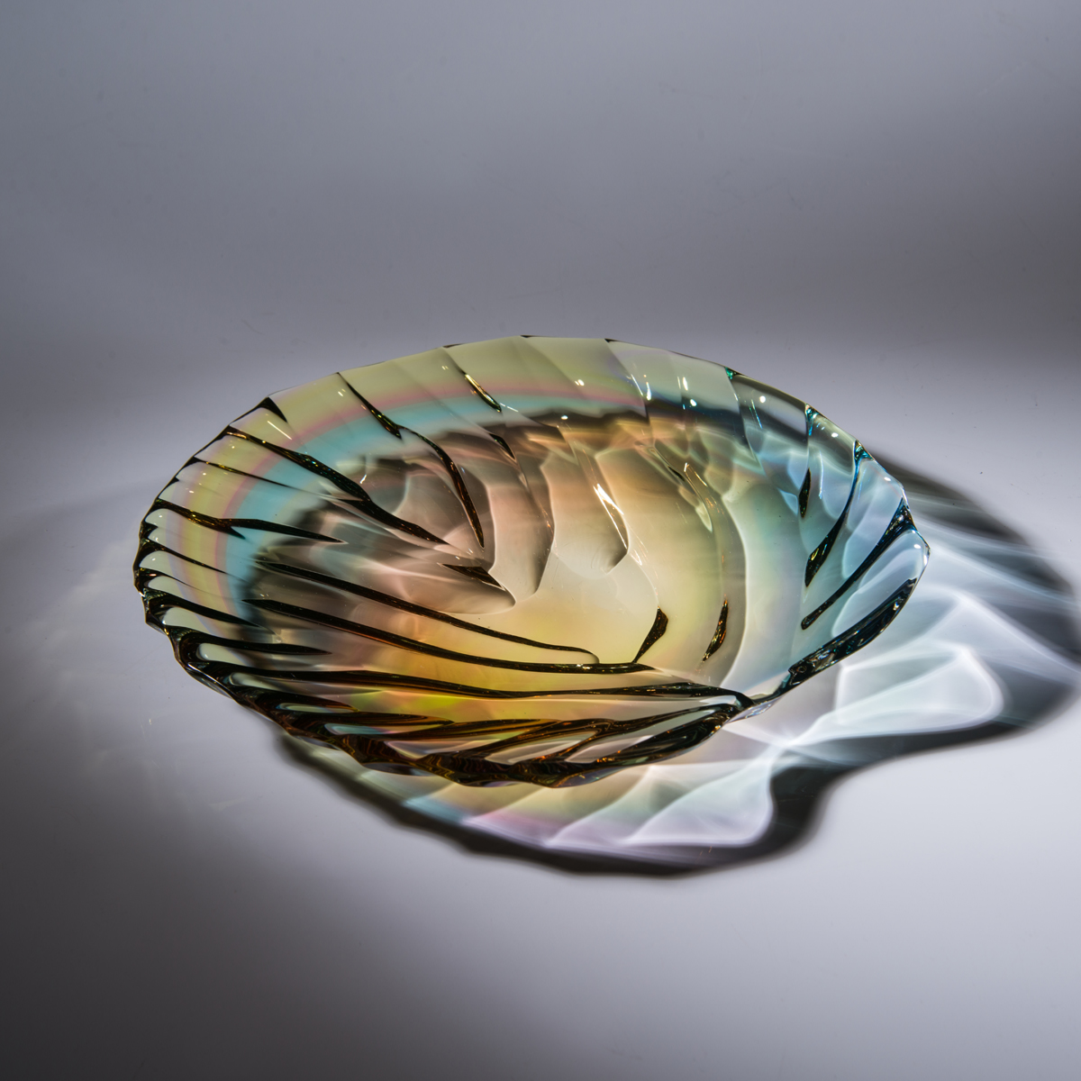 Light Trail 2024 Artworks 18