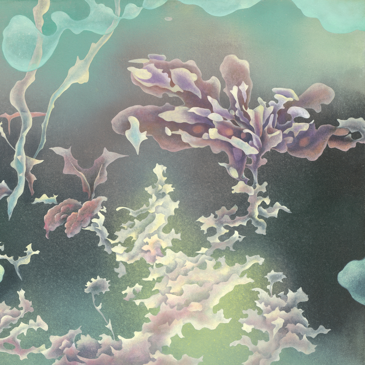 Breathwatervesselsbeasts Artworks 2xx