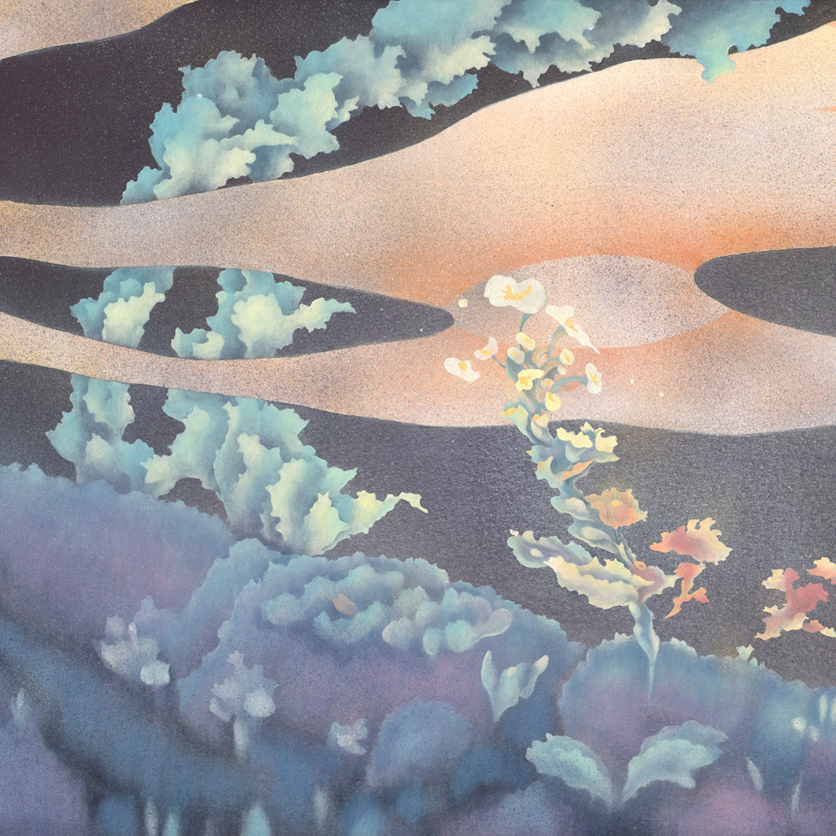 Shihjuchien Artworks 5x