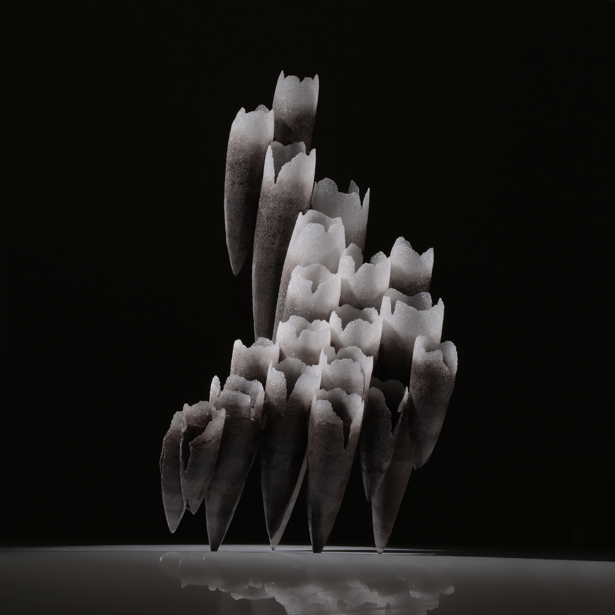 Light Trail Plus 2024 Artworks 7