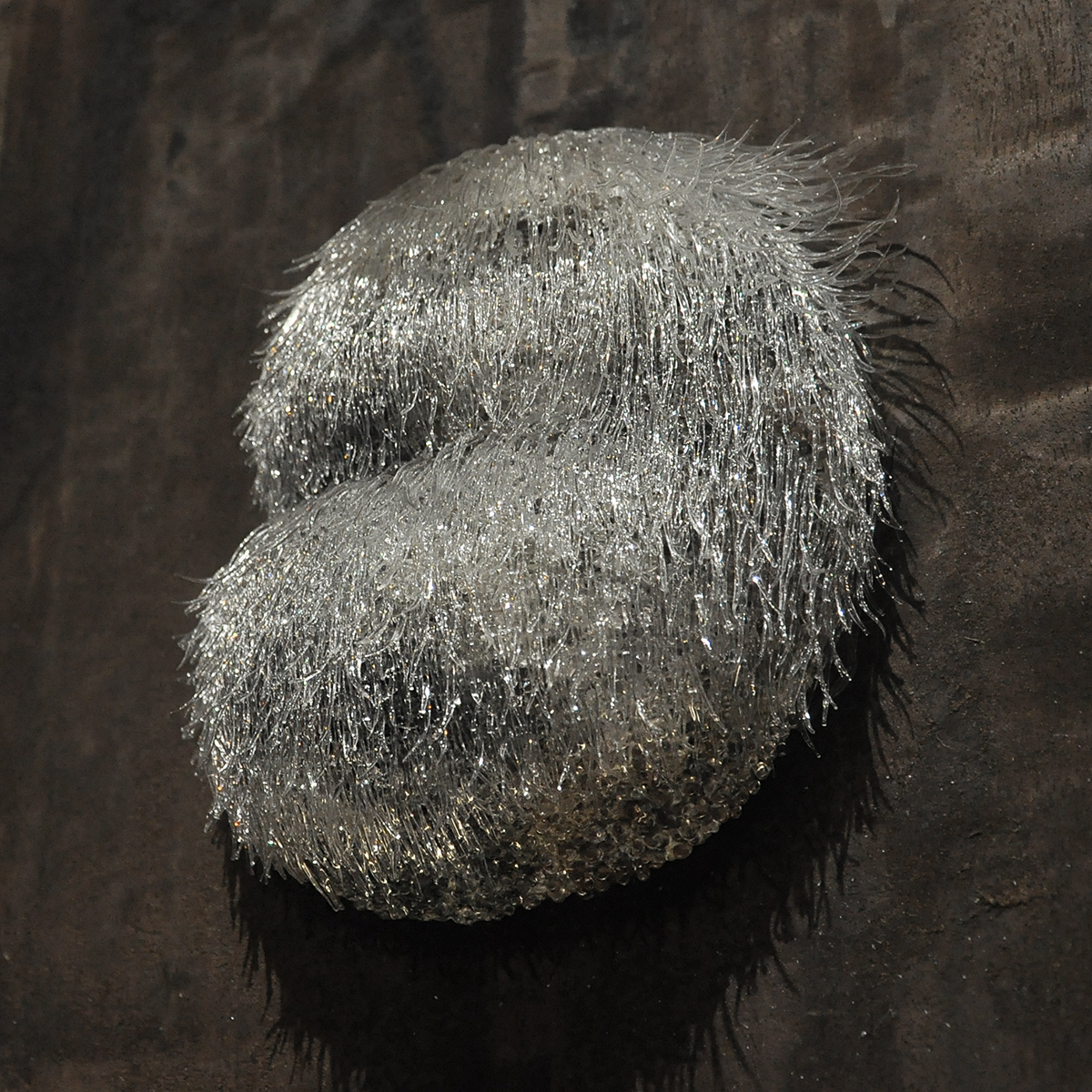 Yukiko Sugano 2025 Artworks 3xx