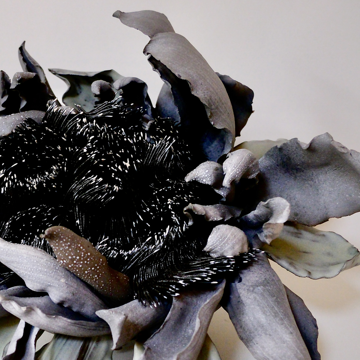 Shingu Sayaka 2025 Artworks 5xx