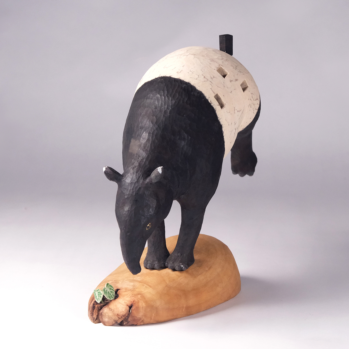 Lin An Chang 2026 Artworks 1x