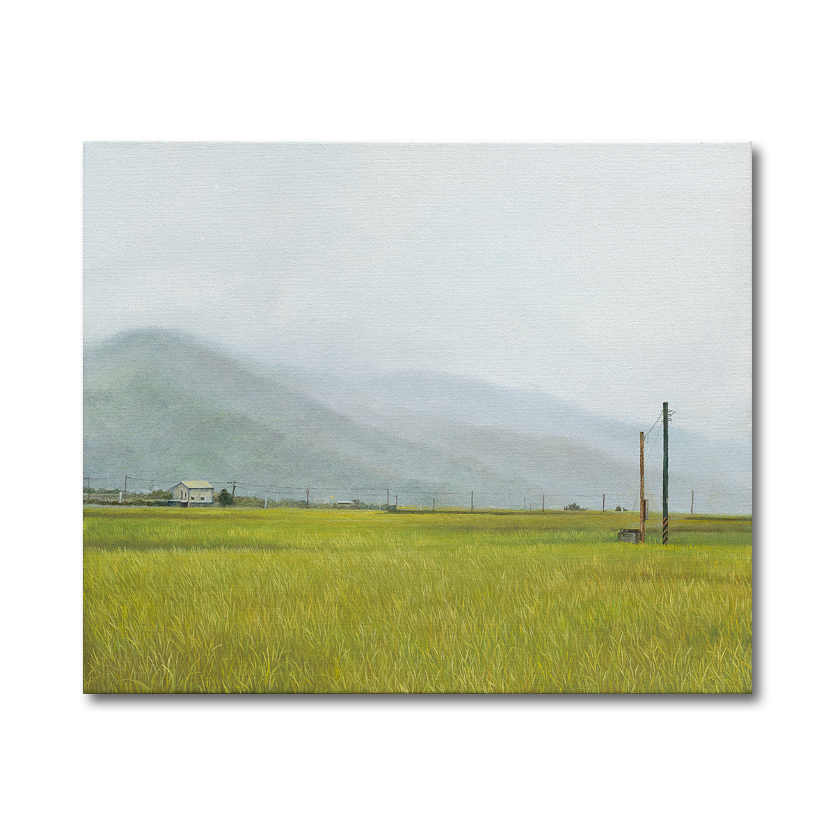 Yi-Syuan Yang_2026_artworks_4